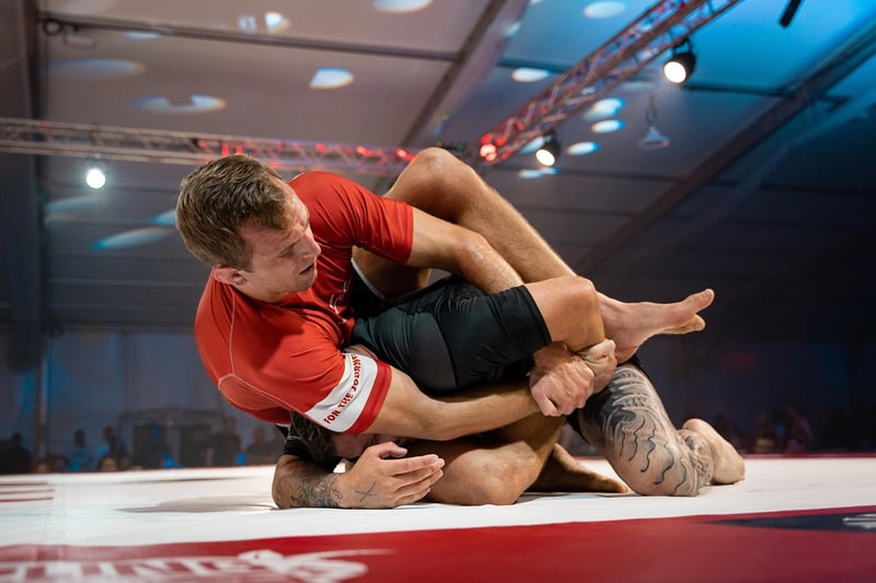 Jiu-Jitsu Fighting